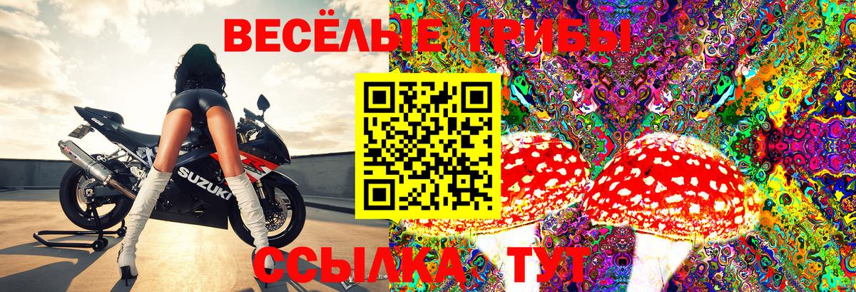 Псилоцибиновые грибы ЛСД  Вход с VPN  даркнет сайт  Конаково 
