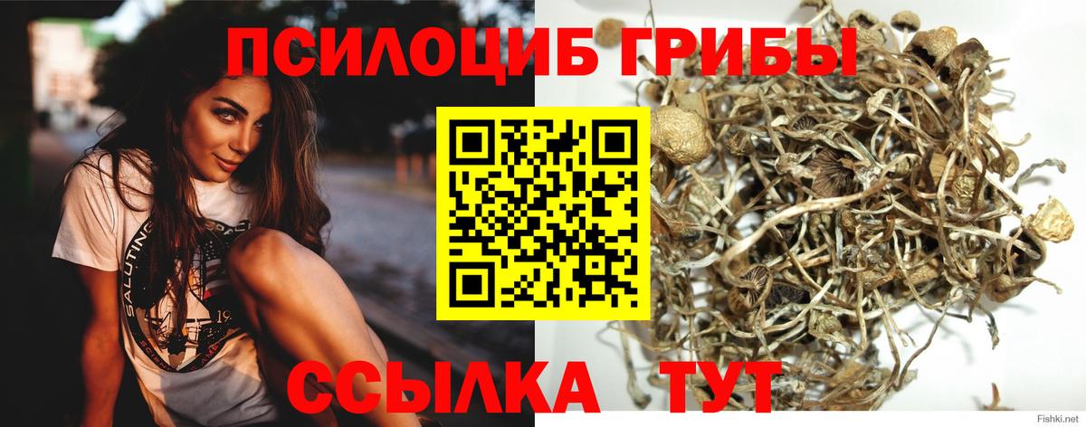 Псилоцибиновые грибы ЛСД Конаково